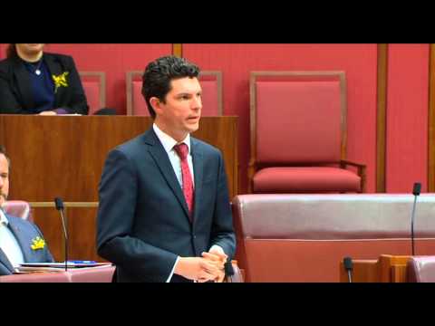 Greens call for a debate in parliament before Australia goes to war