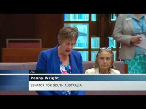 Penny Wright condemns government’s moves to ram Foreign Fighters Bill through Senate