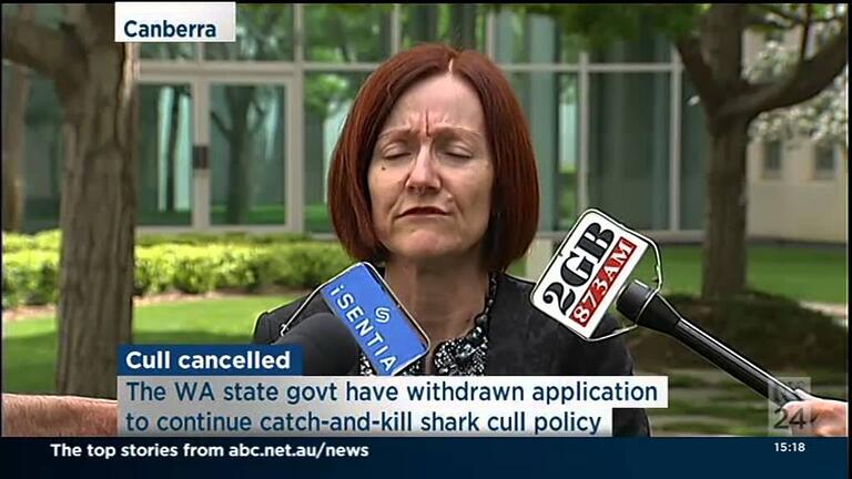 VIDEO: Australian Greens: Rachel comments on WA’s shark cull