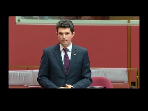 Scott Ludlam — War Powers debate