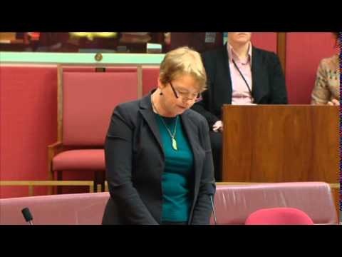 Senator Janet Rice - put safe local roads ahead of polluting urban tollways