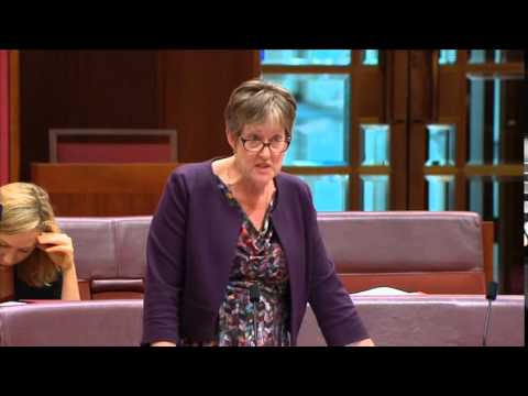 VIDEO: Australian Greens: Terror laws must not be rushed through Parliament
