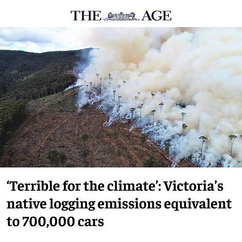 Native forest logging in Victoria produces around 3 MILLION TONNE...