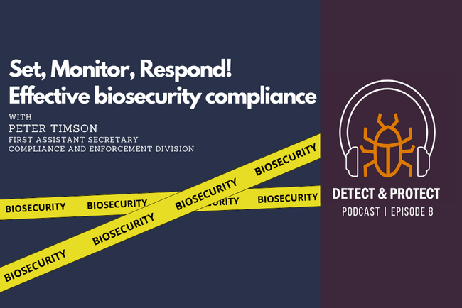 Biosecurity Compliance and Enforcement - DAFF