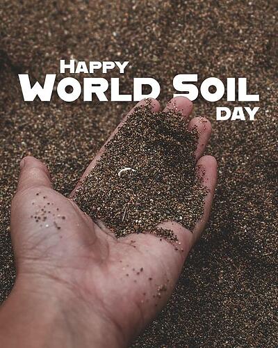 Soil and its health is so important. It’s the reason behind our w...