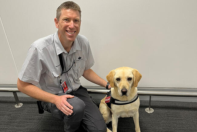 Detector dog finds live Brown Marmorated Stink Bug