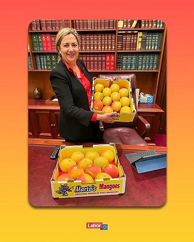 How mangonificent  Buy Queensland mangoes this Christmas and sup...