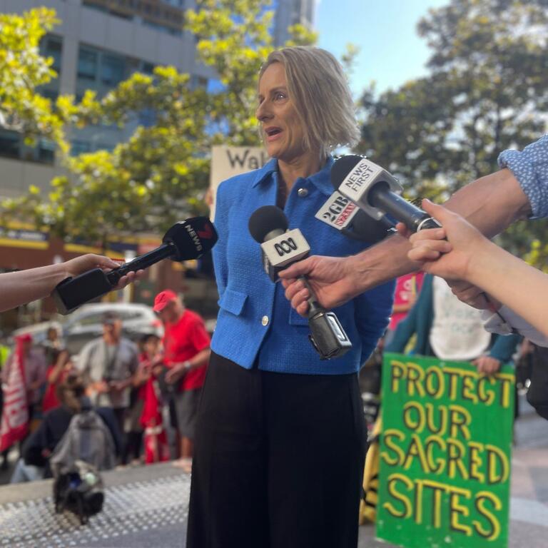 The Greens NSW: When @SueHigginson_ was young she locked onto a bulldozer to prot…