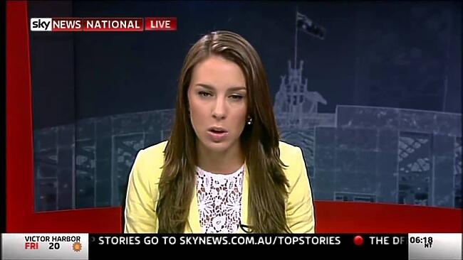 Labor backs Greens motion on Qantas Sky News