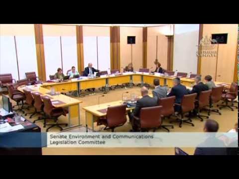 VIDEO: Australian Greens: Larissa Waters questions regulators on Clive Palmer’s environmental credentials