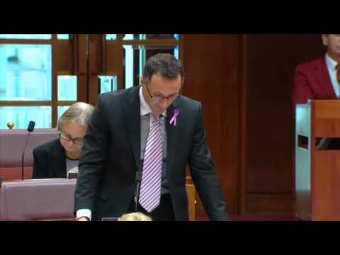 VIDEO: Australian Greens: Richard asks the Abbott Government about support for Morwell