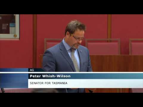 Senator Peter Whish-Wilson speaks on the Mineral Resources Rent Tax