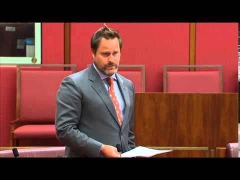 Senator Whish-Wilson asks what the government is doing to stop tax avoidance