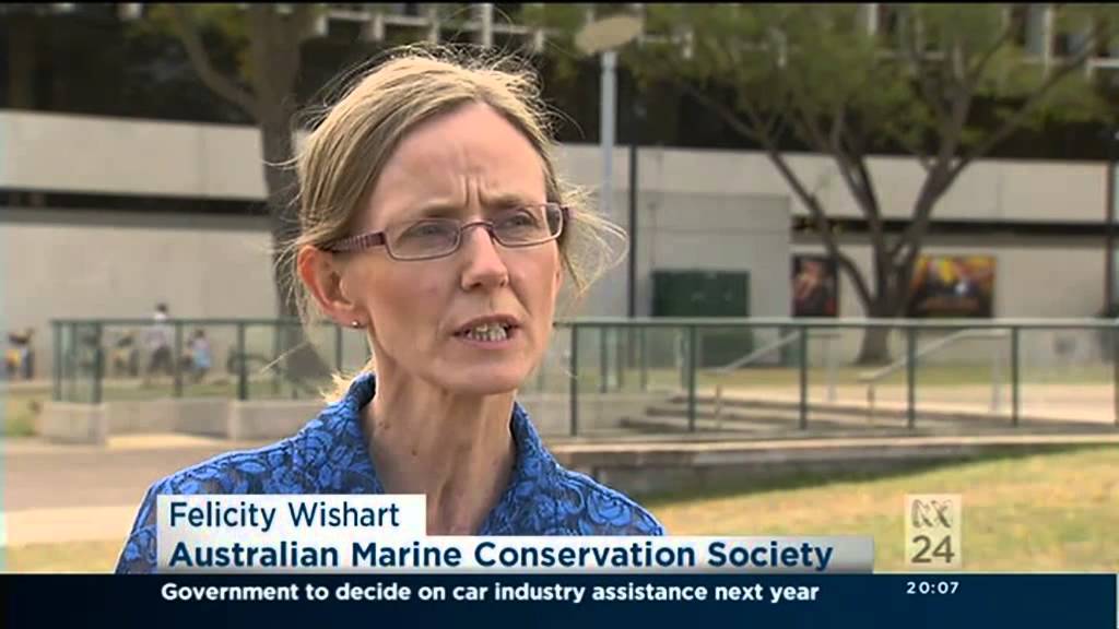 VIDEO: Australian Greens: Larissa Waters: conflict of interest for GBRMPA board members (ABC24 story)