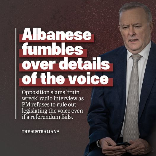 Why is Albanese refusing to provide details of his plan for the V...