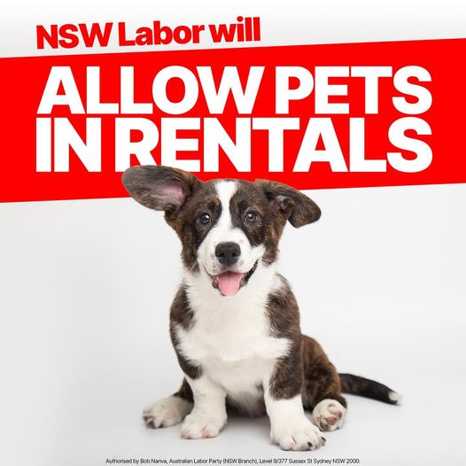 PAWSITIVE NEWS FOR RENTERS: If elected, NSW Labor will make it ea...