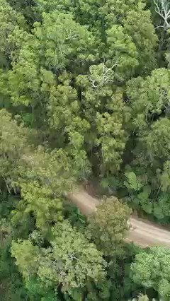 Sue Higginson: Here is Bulga State Forest the NSW Liberal National Government is…