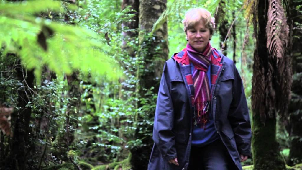 VIDEO: Australian Greens: Christine Milne in World Heritage forests