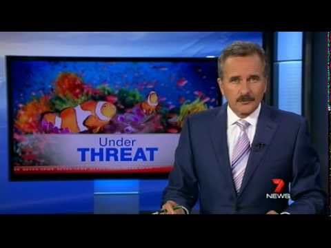 Larissa on 7 news: Great Barrier Reef under threat