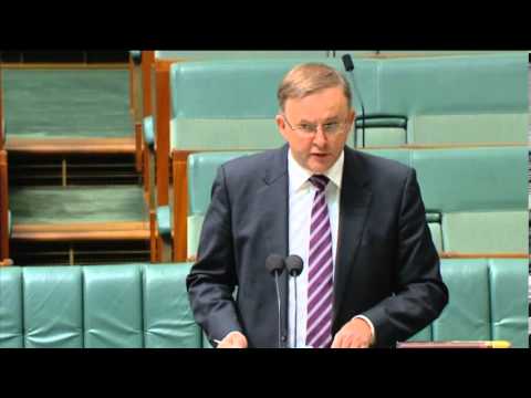 Minister Albanese makes statement on his views on coal dust