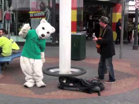 Polar bear dances in the mall in support for Peter Whish-Wilson's Senate campaign