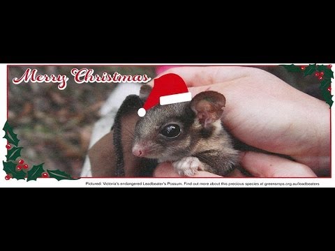 Season's Greetings from Senator Richard Di Natale