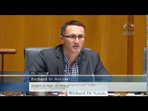 VIDEO: Australian Greens: Senator Di Natale raises human rights in West Papua with Foreign Minister