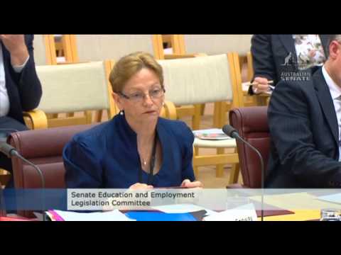 Senator Larissa Waters asking questions about the fair treatment of women in the workplace
