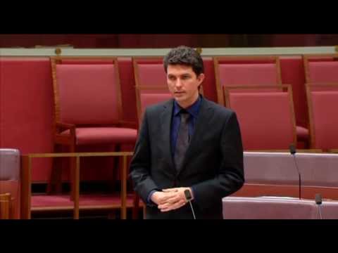 Senator Ludlam responds to the Ministerial Statement on US Bases in Australia