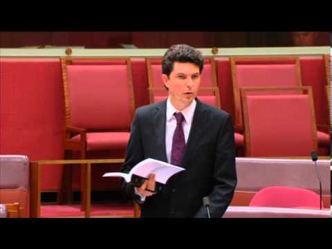VIDEO: Australian Greens: Senator Ludlam responds to the National Security Inquiry report