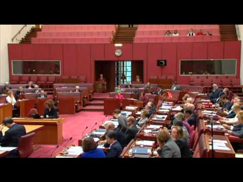 Senator Penny Wright questions without notice - NAPLAN