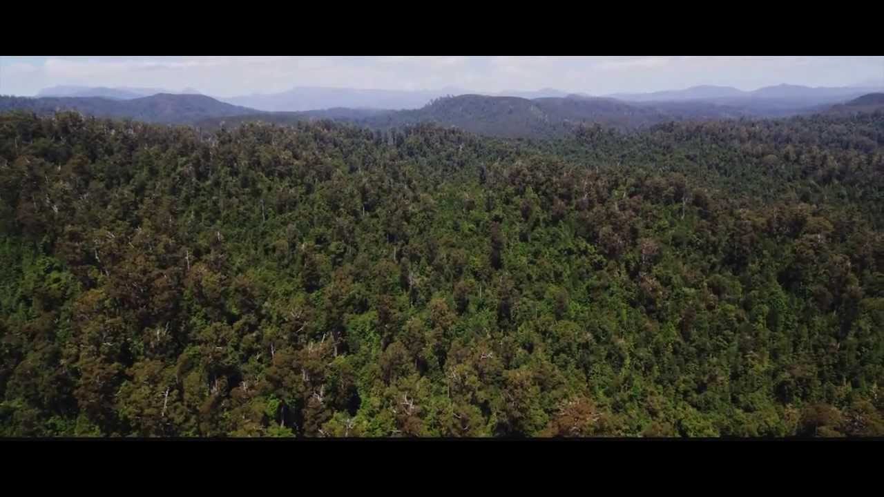 Tarkine, Too Precious To Lose