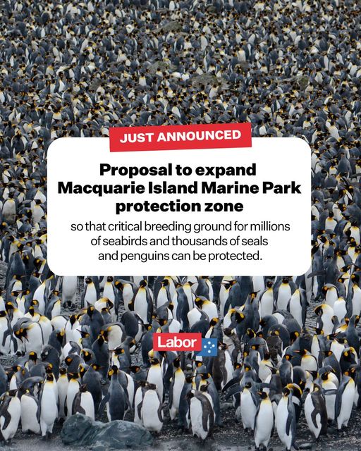 We want to triple the size of the Macquarie Island Marine Park - ...