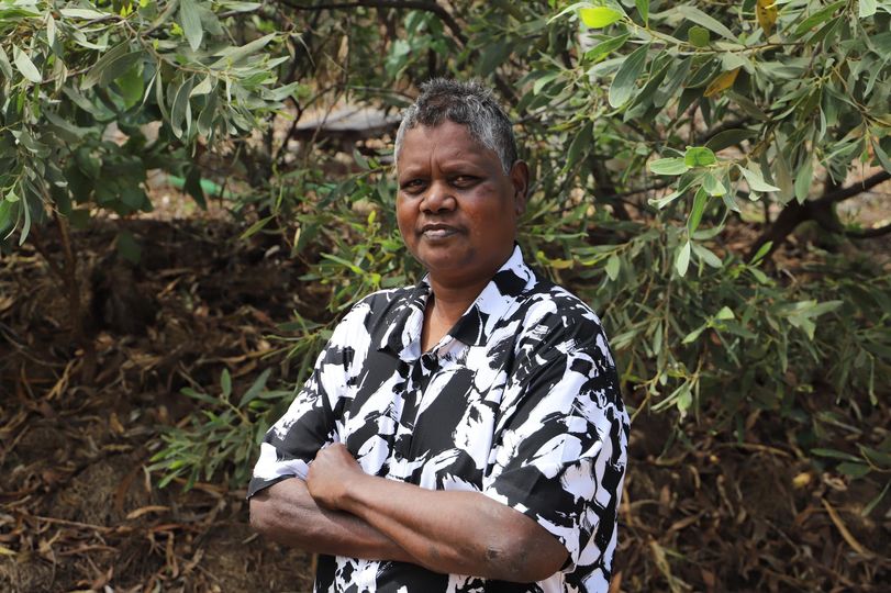 Country Liberal Party: The Country Liberal Party has endorsed Deputy Mayor, Tiwi Islands Regi…