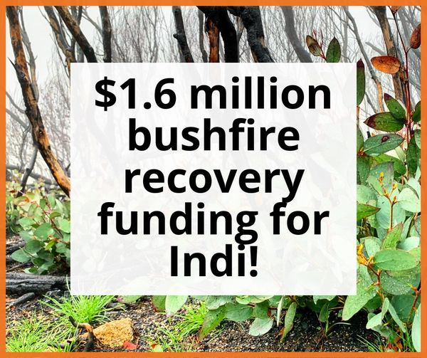 $1.6 million in further bushfire recovery funding awarded to proj...