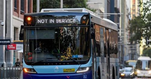 Greens pitch free public transport to NSW voters