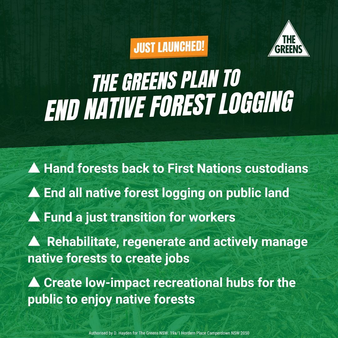 Ending native forest logging is crucial climate action. Add your ...