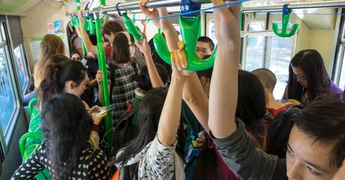 Greens to make public transport free and allow pets
