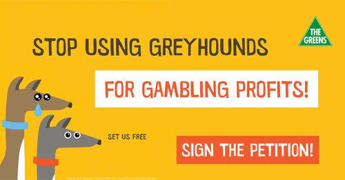 Greyhound Racing Signup | Greens NSW