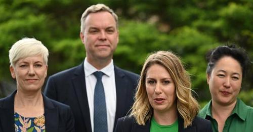 NSW Greens looking for lush result at upcoming election