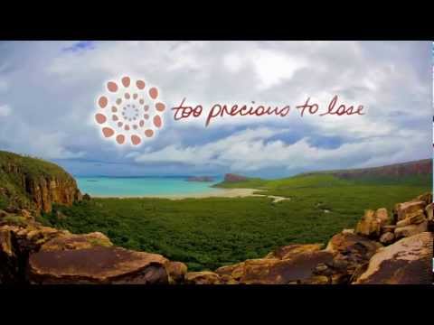 James Price Point - Too Precious to Lose