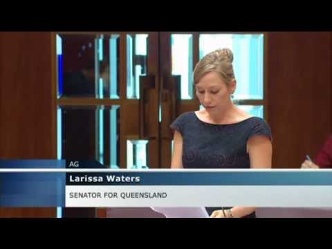 Larissa Waters' speech on Great Barrier Reef