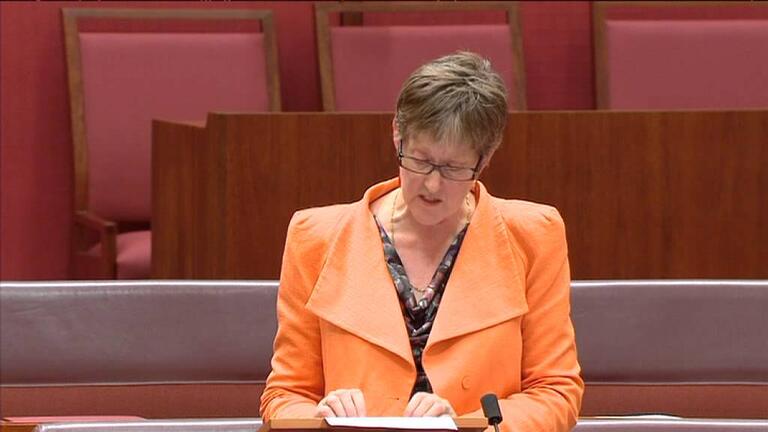 VIDEO: Australian Greens: Penny Wright gives speech on Public Education & Gonski review