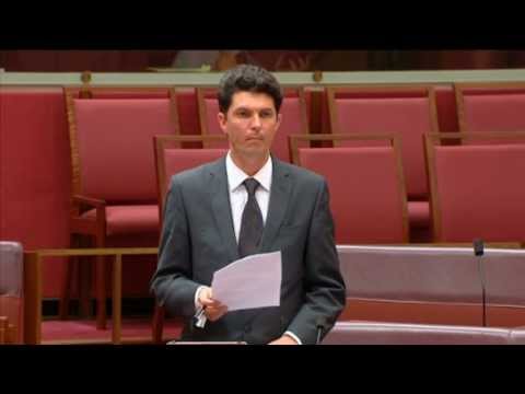 Scott Ludlam Senate speech on the Australia Nuclear Free Alliance annual meeting of 2012.