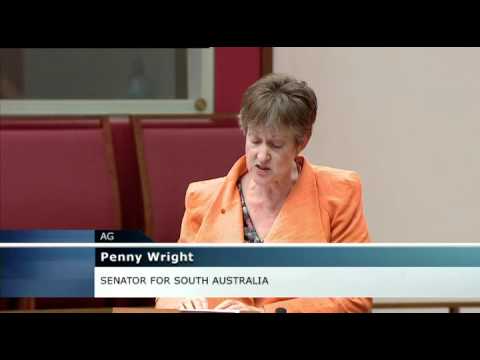 Senator Penny Wright - Psychosis Speech