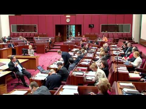 Senator Penny Wright - Question about Indigenous Youth Suicide