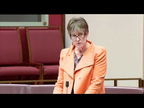 Senator Penny Wright - Response to Indigenous Youth Suicide Question