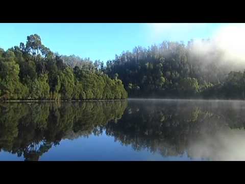 TARKINE FOOTAGE