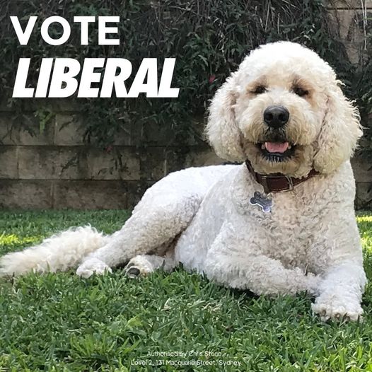 This Saturday, #JustVote1Liberal to #KeepNSWMovingForward...