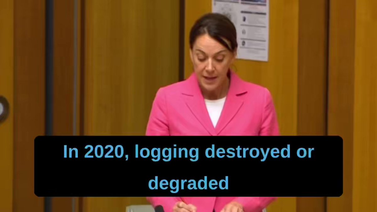 Dr Sophie Scamps MP: It’s time to end the logging of our beautiful native public fores…